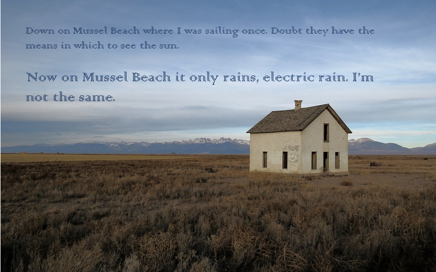 Mussel Bay